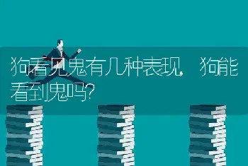 狗看见鬼有几种表现，狗能看到鬼吗？