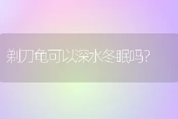 剃刀龟可以深水冬眠吗？