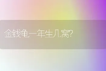 小狗长毛的品种有哪些？