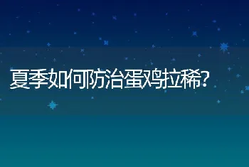 夏季如何防治蛋鸡拉稀？