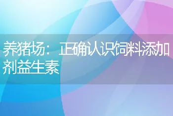 养猪场：正确认识饲料添加剂益生素