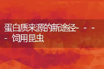 蛋白质来源的新途径----饲用昆虫