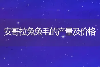 安哥拉兔兔毛的产量及价格