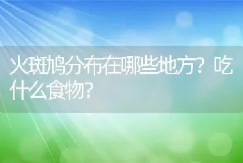 火斑鸠分布在哪些地方？吃什么食物？