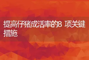 提高仔猪成活率的8项关键措施