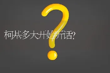 柯基多大开始听话？