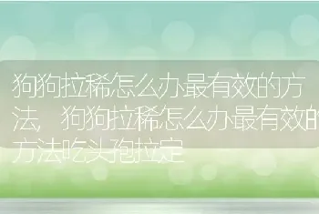 狗狗拉稀怎么办最有效的方法，狗狗拉稀怎么办最有效的方法吃头孢拉定