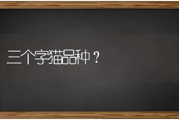 三个字猫品种？