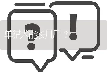 单猎犬能长几斤？