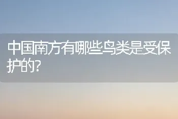 中国南方有哪些鸟类是受保护的？