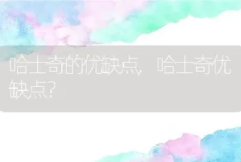 哈士奇的优缺点，哈士奇优缺点？