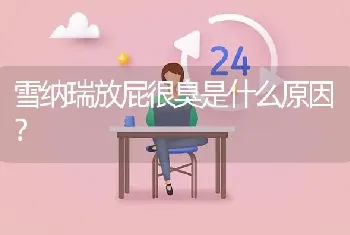 雪纳瑞放屁很臭是什么原因？