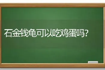 罗星猫和暹罗是一种吗？