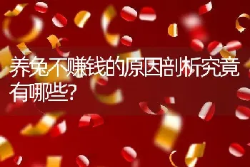 养兔不赚钱的原因剖析究竟有哪些？