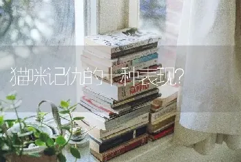 猫咪记仇的十种表现？