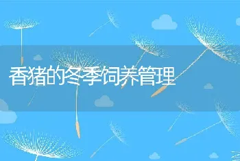 重视家禽预防性用药