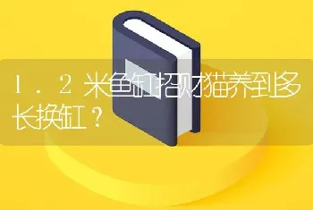 1.2米鱼缸招财猫养到多长换缸？