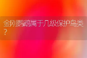 金刚鹦鹉属于几级保护鸟类？