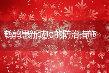 鹌鹑患新城疫的防治措施