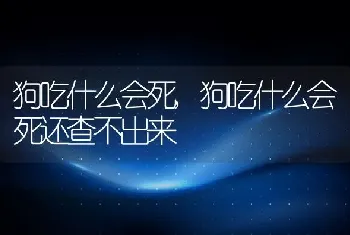 狗吃什么会死，狗吃什么会死还查不出来