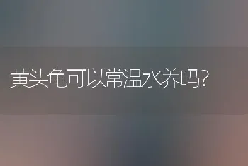 黄头龟可以常温水养吗？