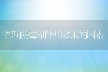 葡萄糖做兔饲料添加剂效果好