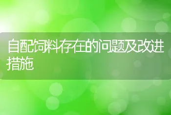 自配饲料存在的问题及改进措施