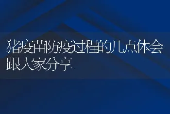 猪疫苗防疫过程的几点体会跟大家分享