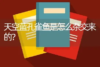 天空蓝孔雀鱼是怎么杂交来的？