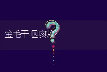 金毛干呕咳嗽？