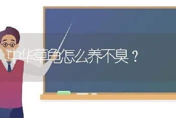 东德几个月大可以看门？