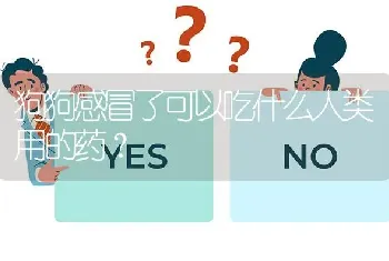 狗狗感冒了可以吃什么人类用的药？