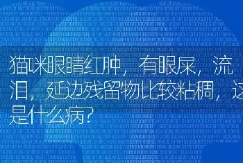 雪纳瑞8个月体重是多少？