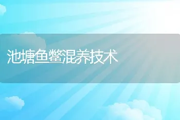 池塘鱼鳖混养技术