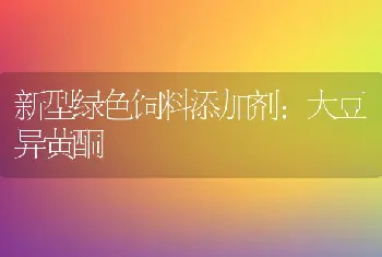 新西兰实验兔保种繁育技术