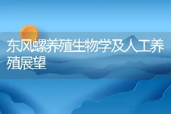 东风螺养殖生物学及人工养殖展望