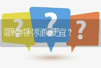 哪种纯种狗狗便宜？