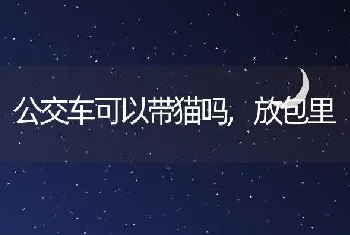 公交车可以带猫吗，放包里