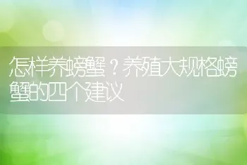 怎样养螃蟹？养殖大规格螃蟹的四个建议