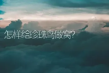 怎样给珍珠鸟做窝？