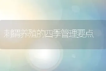 刺猬养殖的四季管理要点