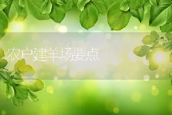 新西兰实验兔保种繁育技术