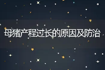 母猪产程过长的原因及防治