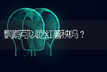 鹦鹉可以吃红薯秧吗？