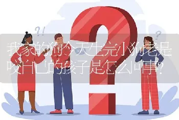 我家的狗今天生完小狗老是咬自己的孩子是怎么回事？