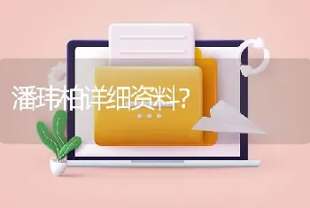 潘玮柏详细资料？