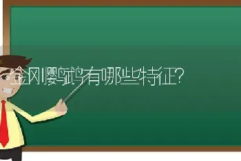 灰文鸟最怕什么？