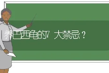 养巴西龟的7大禁忌？