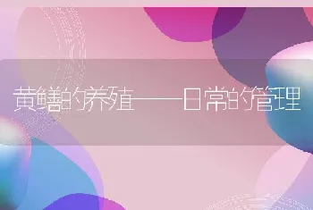 黄鳝的养殖──日常的管理