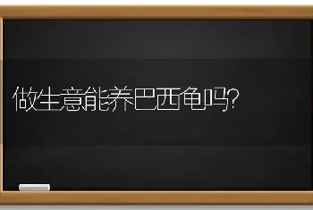 做生意能养巴西龟吗？